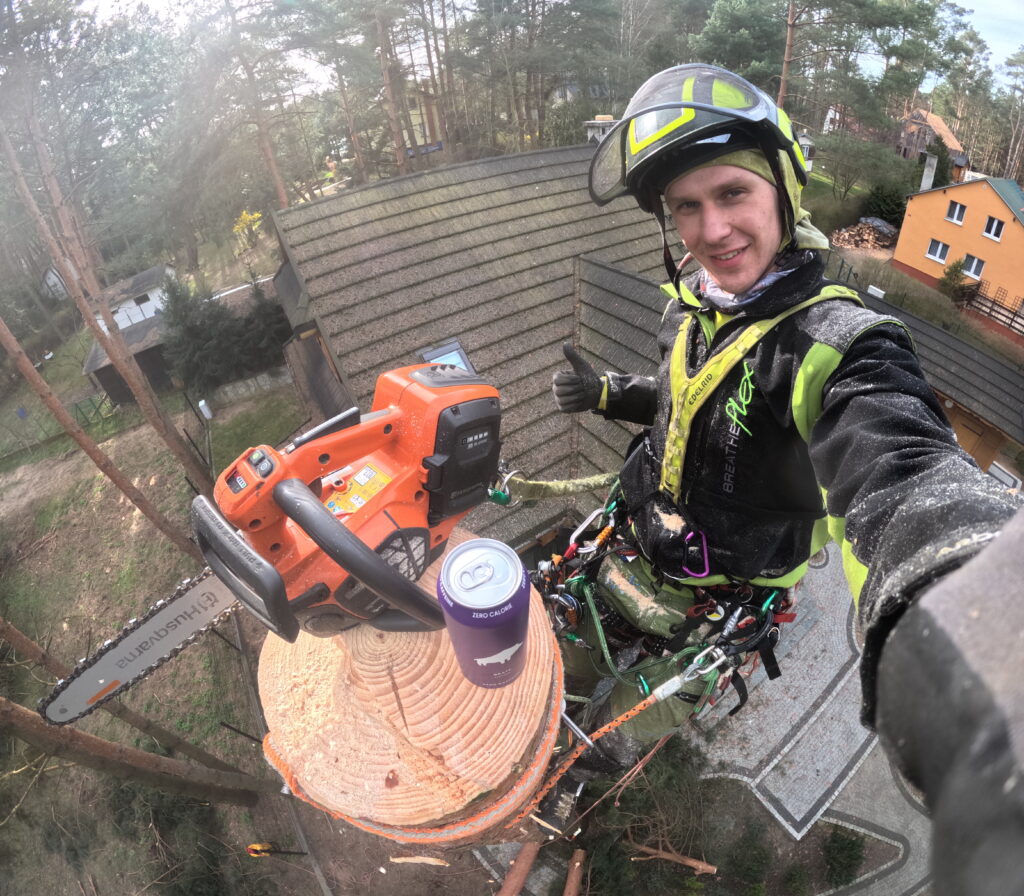 Wycinka drzew w gęstej zabudowie.Zdrowe drzewo